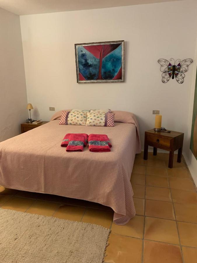 Centro Ave Fenix Femés