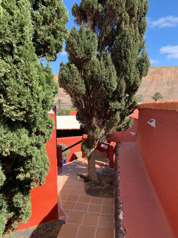 Centro Ave Fenix Femés